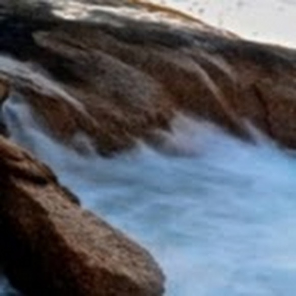 Meet your Posher, Lela - Picture 1 of 1